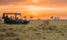 5-Day Tanzania Safari from Arusha