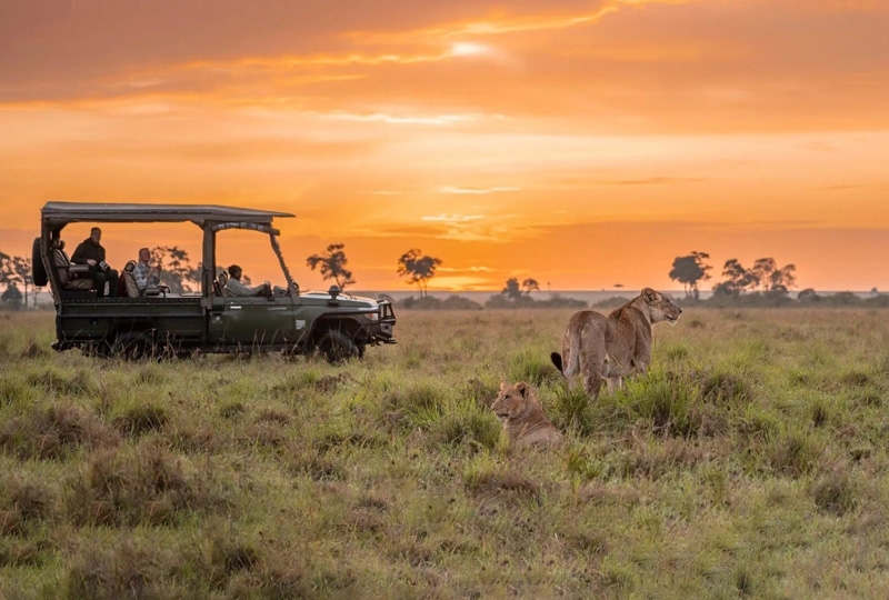 5-Day Tanzania Safari from Arusha