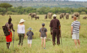 5-Day Tanzania Wildlife Safari for Families