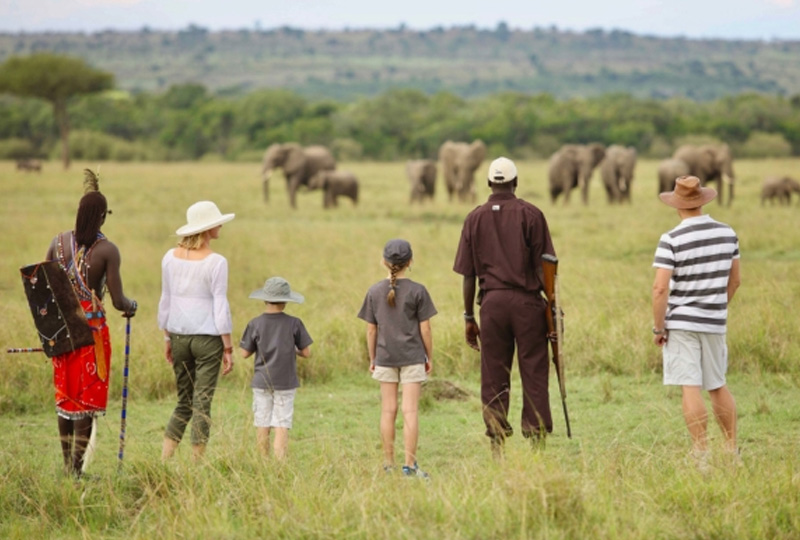 5-Day Tanzania Wildlife Safari for Families