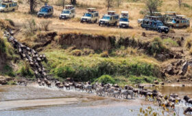6-Day Great Migration Camping Safari in Serengeti