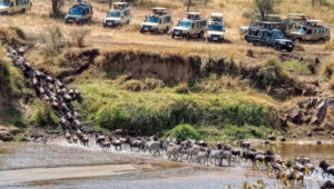 6-Day Great Migration Camping Safari in Serengeti