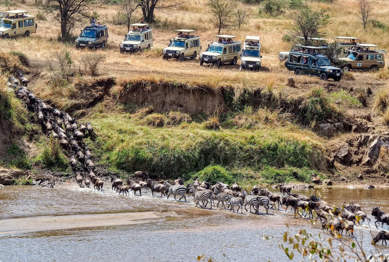 6-Day Great Migration Camping Safari in Serengeti