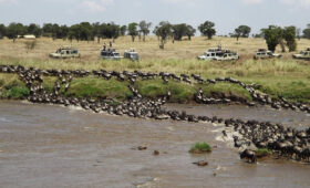6-Day Serengeti Mara River Crossing Adventure
