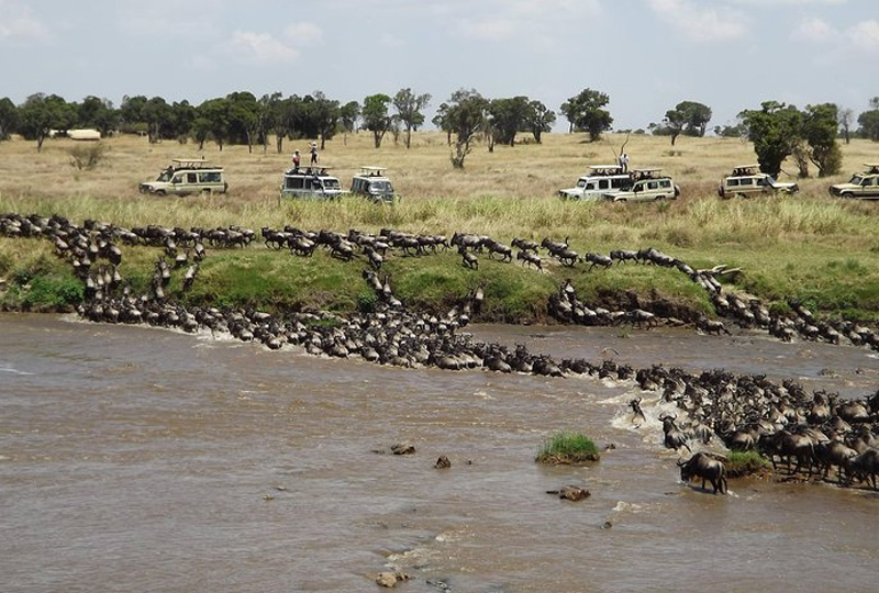 6-Day Serengeti Mara River Crossing Adventure