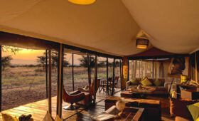 6-Day Tanzania Classic Lodge Safari Itinerary