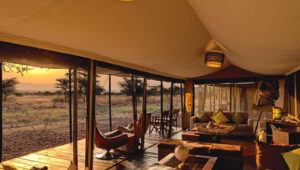 6-Day Tanzania Classic Lodge Safari Itinerary