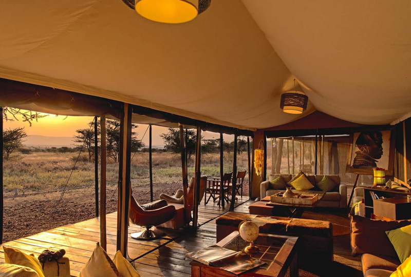6-Day Tanzania Classic Lodge Safari Itinerary