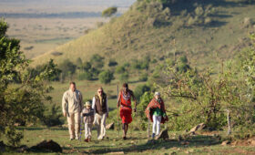 6-Day Tanzania Safari and Kilimanjaro Foothills Visit