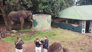 6-Day Tanzania Wildlife and Cultural Camping Safari