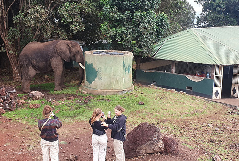 6-Day Tanzania Wildlife and Cultural Camping Safari