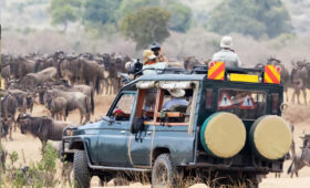 7-Day Great Migration River Crossing Safari from Arusha