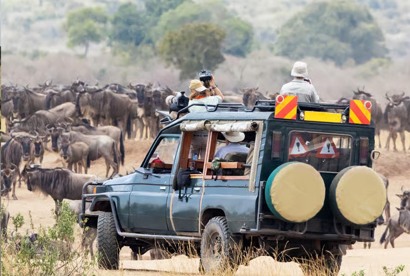 7-Day Great Migration River Crossing Safari from Arusha