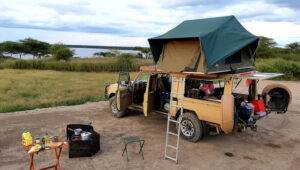 7-Day Tanzania Classic Camping Safari-Serengeti and Ngorongoro