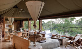7-Day Tanzania Lodge Safari to Serengeti and Ngorongoro
