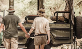 7-Day Tanzania Wildlife Safari for Couples