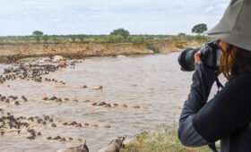 8-Day Mara River Crossing Safari for Photographers