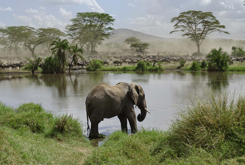 8-Day Tanzania Budget Wildlife Safari