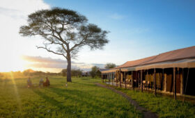 8-Day Tanzania Bush Camping Safari Experience