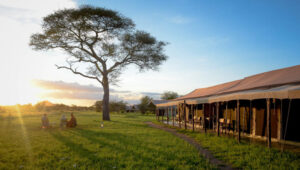 8-Day Tanzania Bush Camping Safari Experience