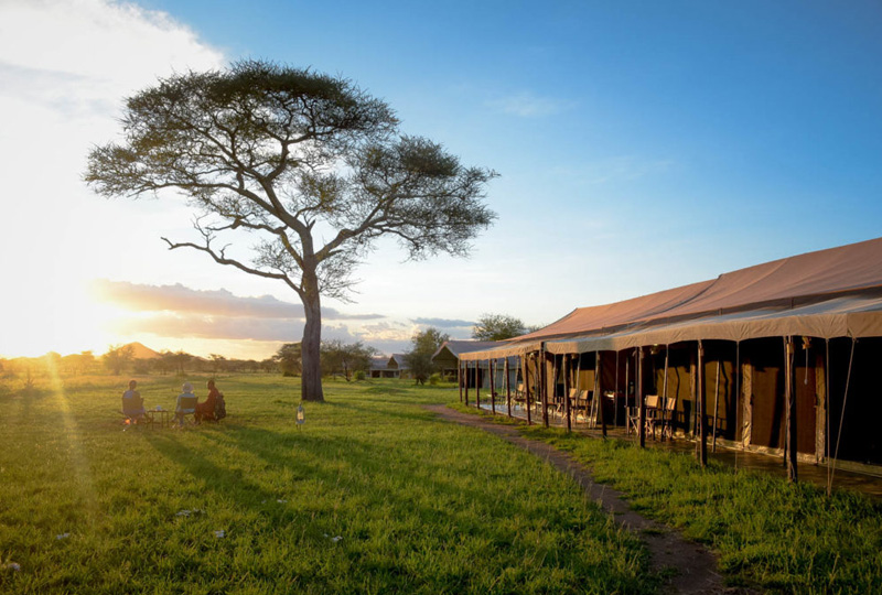 8-Day Tanzania Bush Camping Safari Experience