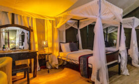 8-Day Tanzania Lodge Safari & Cultural Experience