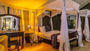 8-Day Tanzania Lodge Safari & Cultural Experience