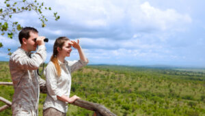 8-Day Tanzania Safari for Couples