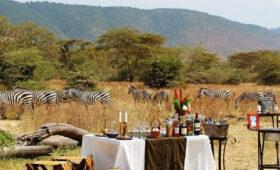 9-Day Tanzania Wildlife Lodge Safari
