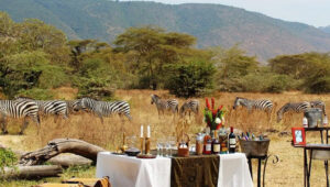9-Day Tanzania Wildlife Lodge Safari