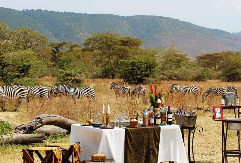 9-Day Tanzania Wildlife Lodge Safari
