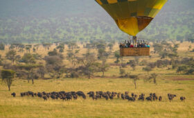 Accessible Adventure - Hot Air Balloon Safaris in Tanzania