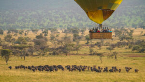 Accessible Adventure - Hot Air Balloon Safaris in Tanzania