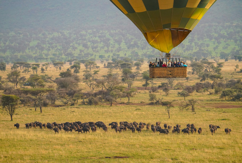 Accessible Adventure - Hot Air Balloon Safaris in Tanzania