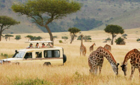 Accessible Safari Tours in Tanzania -Guide for First Timers