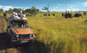 Affordable Accessible Safari Packages in Tanzania