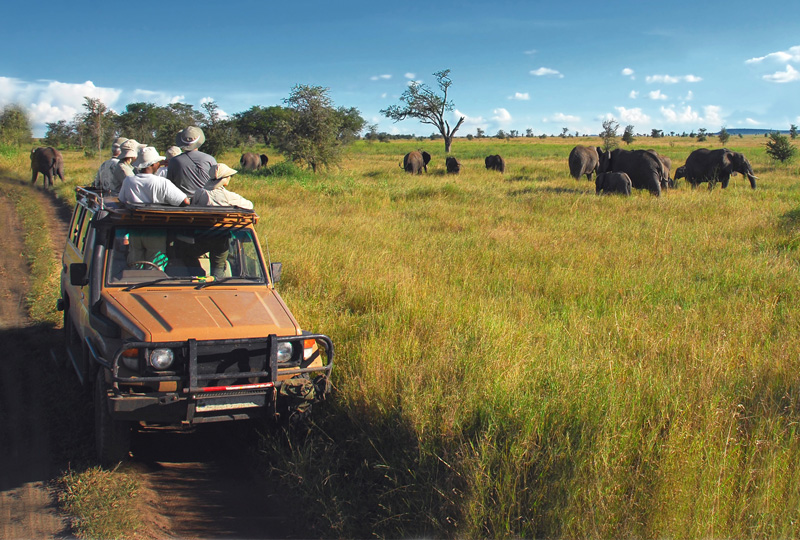 Affordable Accessible Safari Packages in Tanzania