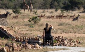 Best Safari Lodges in Tanzania for Wheelchair Access