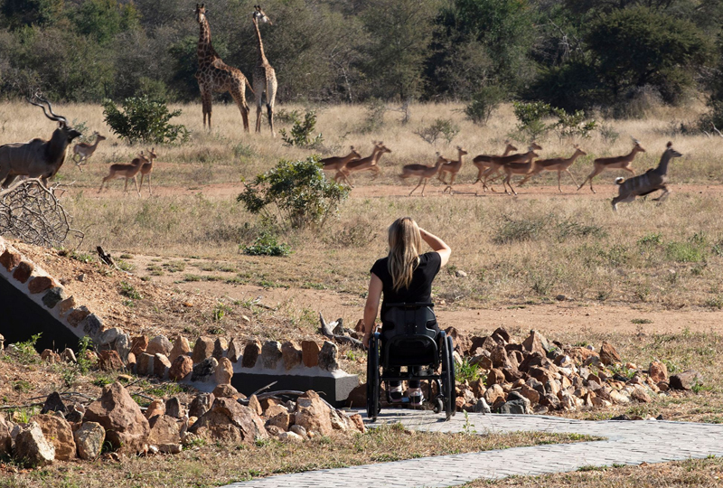 Best Safari Lodges in Tanzania for Wheelchair Access