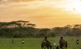 Best Time of Year for a Wheelchair Safari in Tanzania