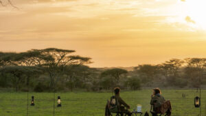 Best Time of Year for a Wheelchair Safari in Tanzania