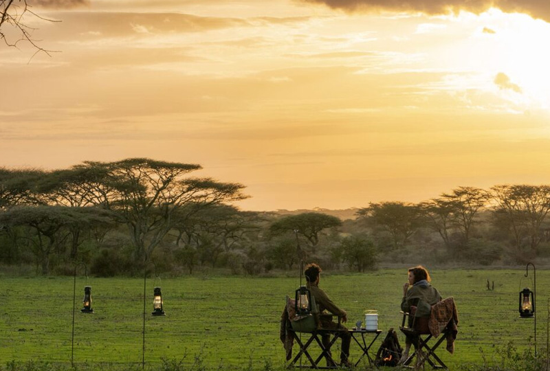Best Time of Year for a Wheelchair Safari in Tanzania