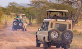 Plan wisely with budgeting tips for an accessible safari in Tanzania, ensuring comfort, value, and unforgettable adventures.