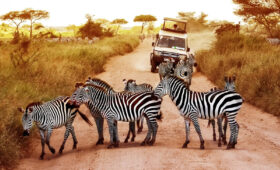Choosing the Right Accessible Safari Vehicle in Tanzania