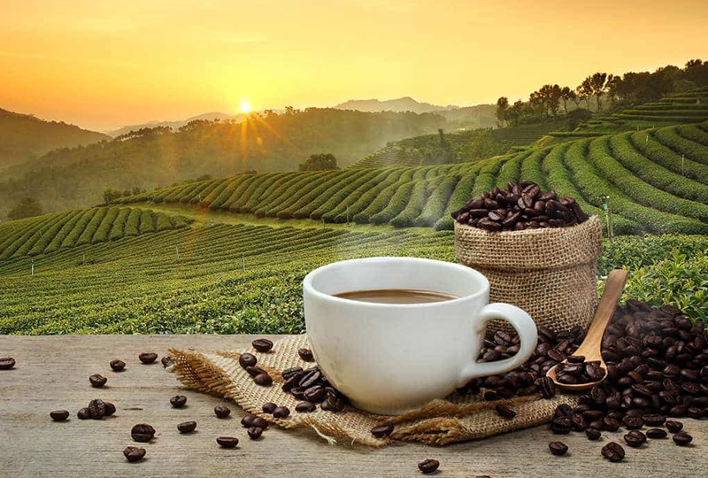 Coffee tasting in Kilimanjaro