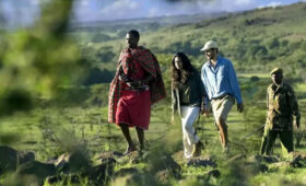 Eco-Friendly Camping Safaris: Supporting Sustainable Travel