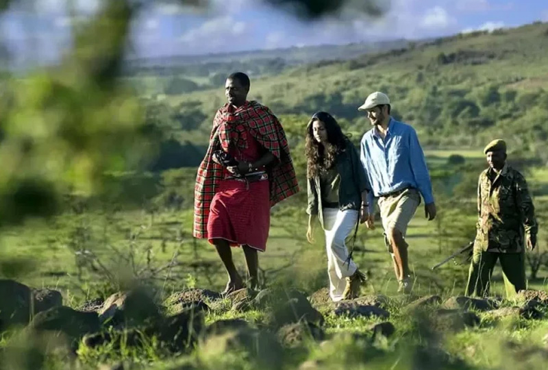 Eco-Friendly Camping Safaris: Supporting Sustainable Travel