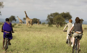Enduimet Wildlife Management Area safari