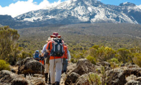 Explore Shira Plateau hikes