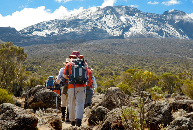 Explore Shira Plateau hikes